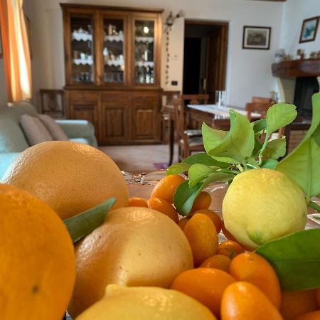 Villa Panorama ガルニャーノ エクステリア 写真